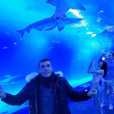 Mis Ingresos Pasivos es tu punto de referencia para entender cómo generar ingresos online de verdad — sin humo, con cabeza. Aquí deja tu email